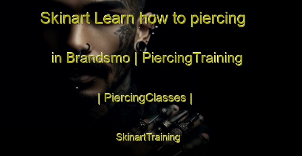 Skinart Learn how to piercing in Brandsmo | PiercingTraining | PiercingClasses | SkinartTraining-Sweden